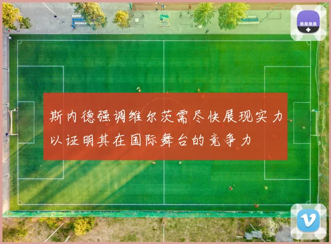 斯内德强调维尔茨需尽快展现实力以证明其在国际舞台的竞争力